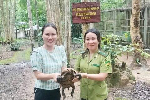 NGƯỜI DÂN TỰ NGUYỆN GIAO NỘP ĐỘNG VẬT RỪNG HOANG DÃ QUÝ, HIẾM CHO HẠT KIỂM LÂM HUYỆN